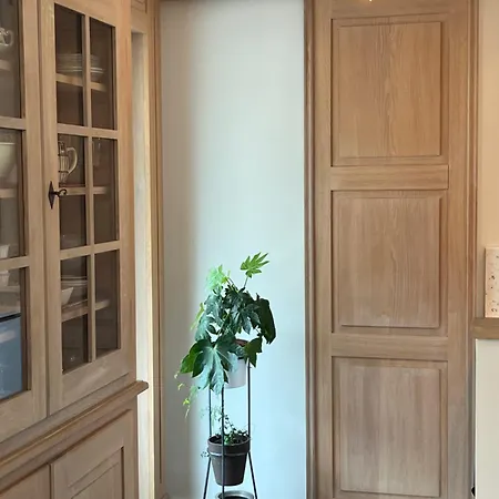 Saint Germain 公寓 科尔马