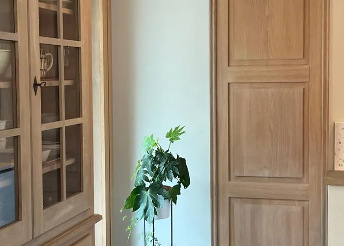 Saint Germain 公寓 科尔马