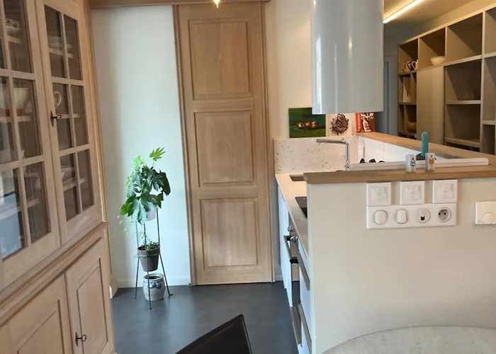 公寓 Saint Germain 科尔马